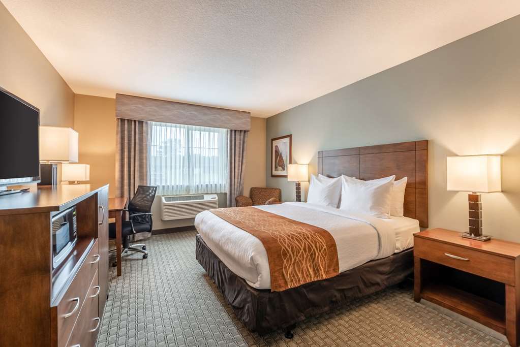 Comfort Inn & Suites - Chisago City Bilik gambar