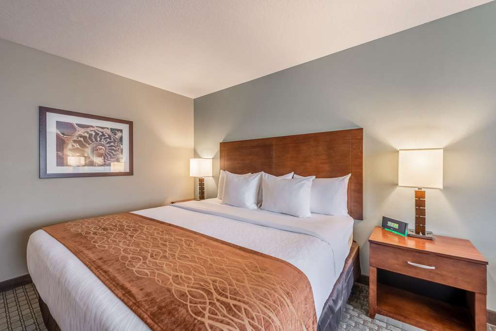 Comfort Inn & Suites - Chisago City Bilik gambar