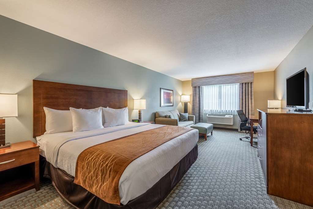 Comfort Inn & Suites - Chisago City Bilik gambar